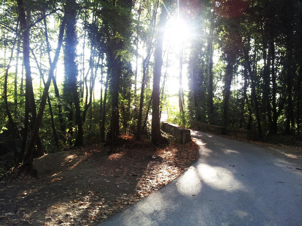 Casa Rural Can Miquel - En Pleno Bosque Y Cerca De La Playa - Increibles Rutas Btt Santa Coloma De Farners Dış mekan fotoğraf