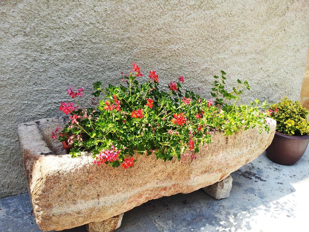 Casa Rural Can Miquel - En Pleno Bosque Y Cerca De La Playa - Increibles Rutas Btt Santa Coloma De Farners Dış mekan fotoğraf