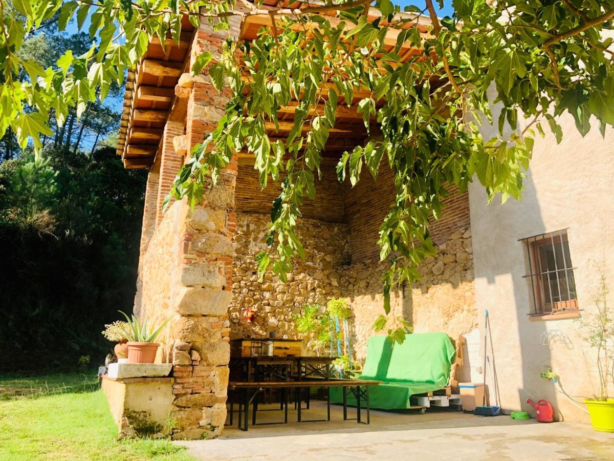 Casa Rural Can Miquel - En Pleno Bosque Y Cerca De La Playa - Increibles Rutas Btt Santa Coloma De Farners Dış mekan fotoğraf