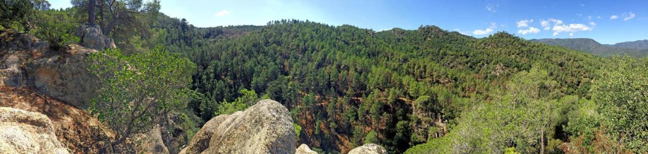 Casa Rural Can Miquel - En Pleno Bosque Y Cerca De La Playa - Increibles Rutas Btt Santa Coloma De Farners Dış mekan fotoğraf