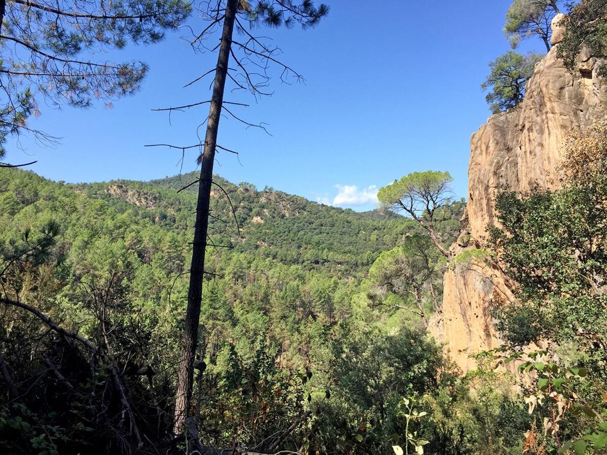 Casa Rural Can Miquel - En Pleno Bosque Y Cerca De La Playa - Increibles Rutas Btt Santa Coloma De Farners Dış mekan fotoğraf