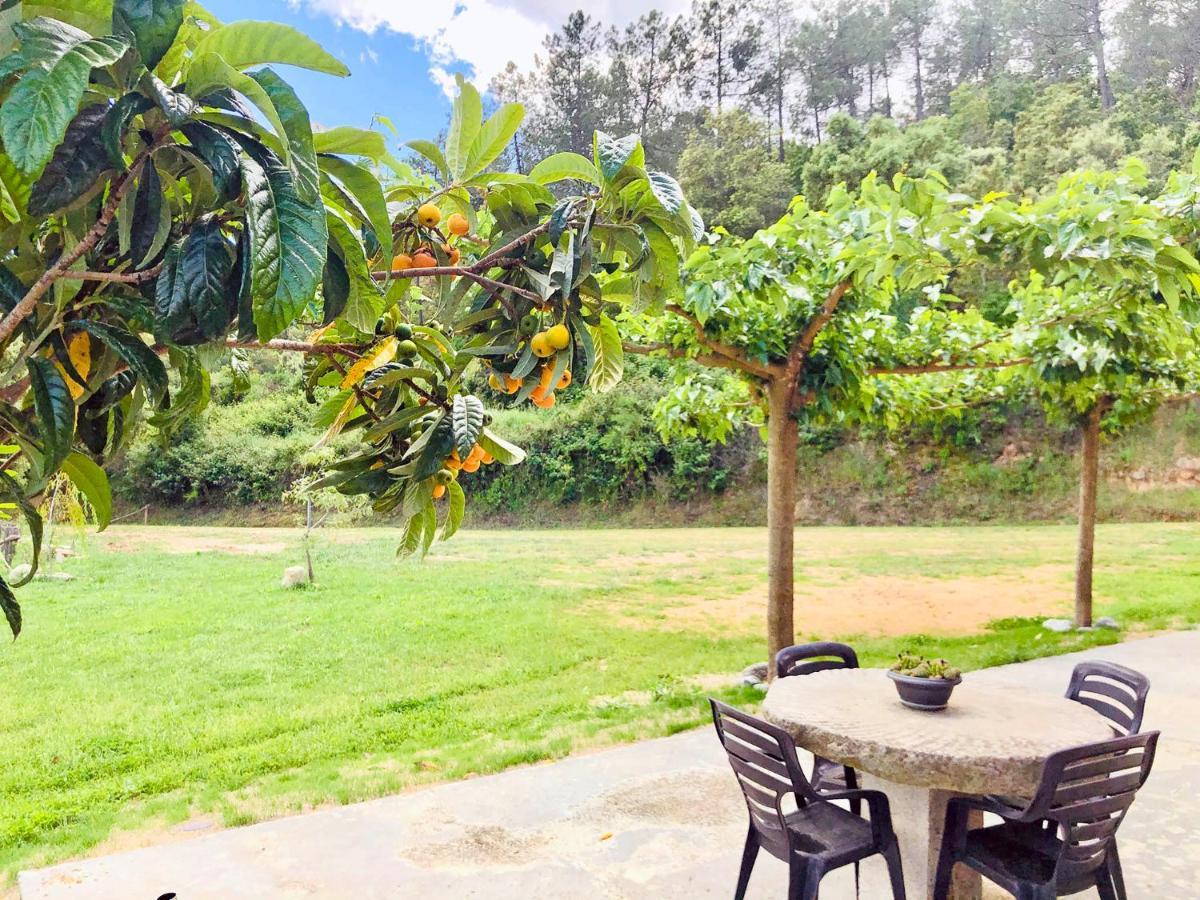 Casa Rural Can Miquel - En Pleno Bosque Y Cerca De La Playa - Increibles Rutas Btt Santa Coloma De Farners Dış mekan fotoğraf