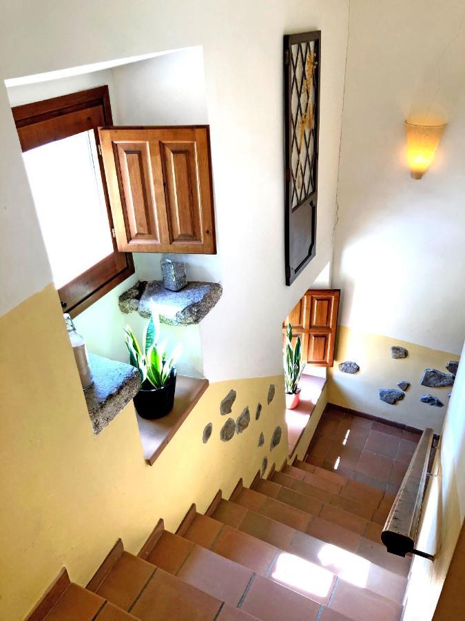 Casa Rural Can Miquel - En Pleno Bosque Y Cerca De La Playa - Increibles Rutas Btt Santa Coloma De Farners Dış mekan fotoğraf