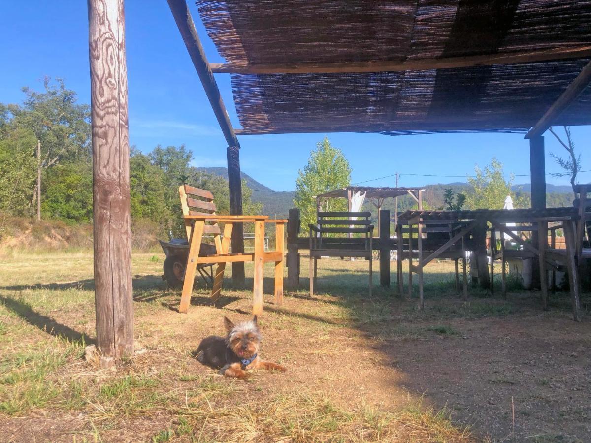 Casa Rural Can Miquel - En Pleno Bosque Y Cerca De La Playa - Increibles Rutas Btt Santa Coloma De Farners Dış mekan fotoğraf