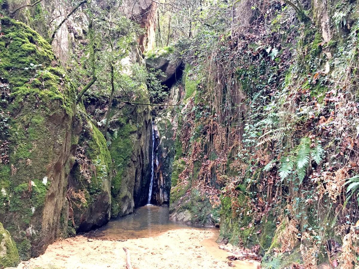 Casa Rural Can Miquel - En Pleno Bosque Y Cerca De La Playa - Increibles Rutas Btt Santa Coloma De Farners Dış mekan fotoğraf